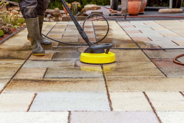 Best Roof Washing  in Toledo, IL