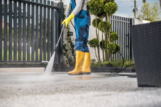 Best Rust Removal  in Toledo, IL
